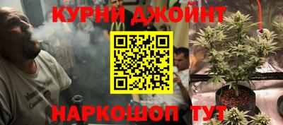прущие грибы Нягань