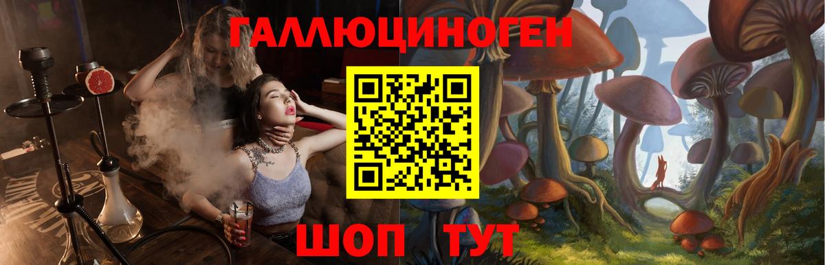 Соликамск  Галлюциногенные грибы мицелий  Вход с VPN 